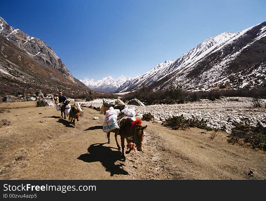 Landscape in tableland,Sichuan,China