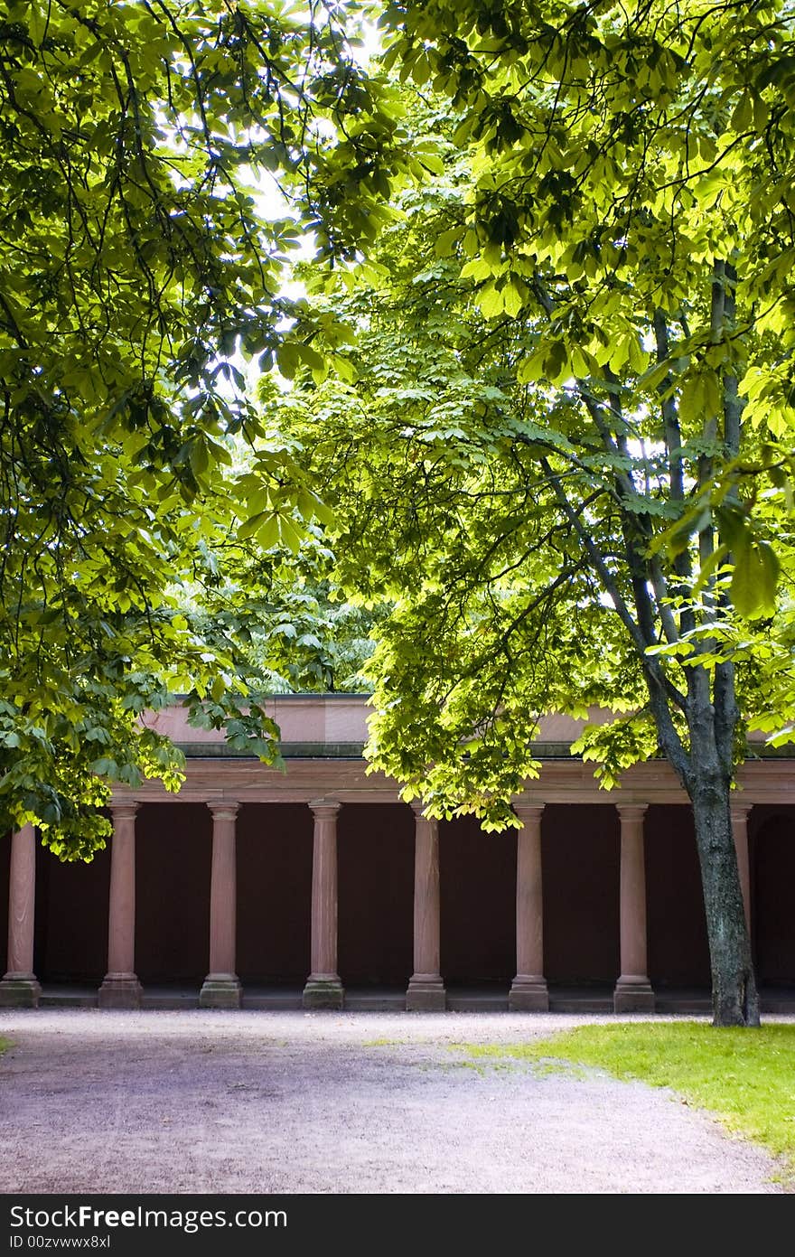 Trees and columns