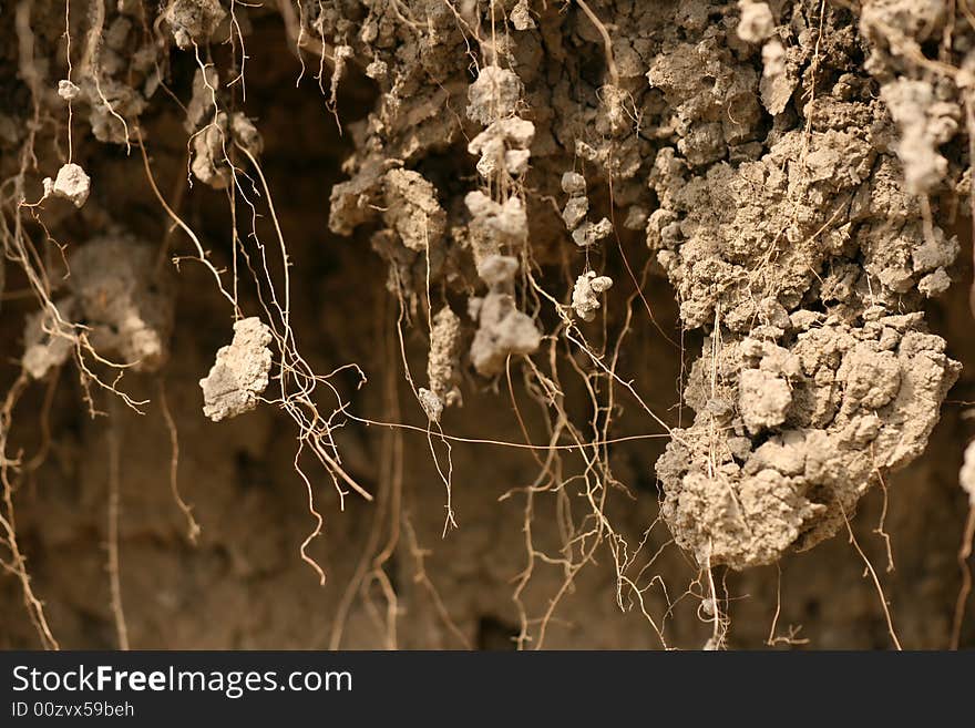 Texture Of Dirt With Roots