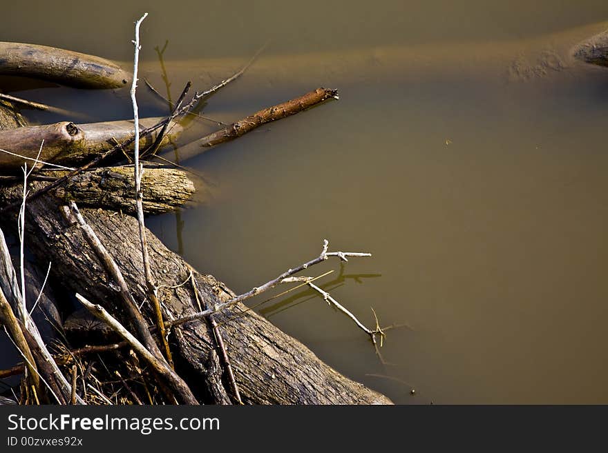 Log jam in creek against unseen bridge