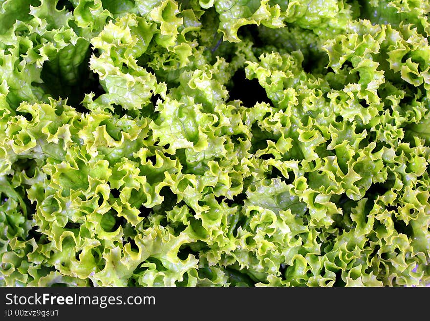 Green Crepe Lettuce Background