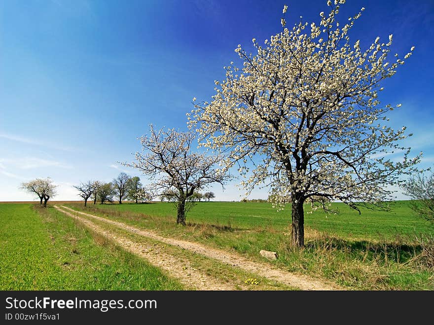 Country landscape