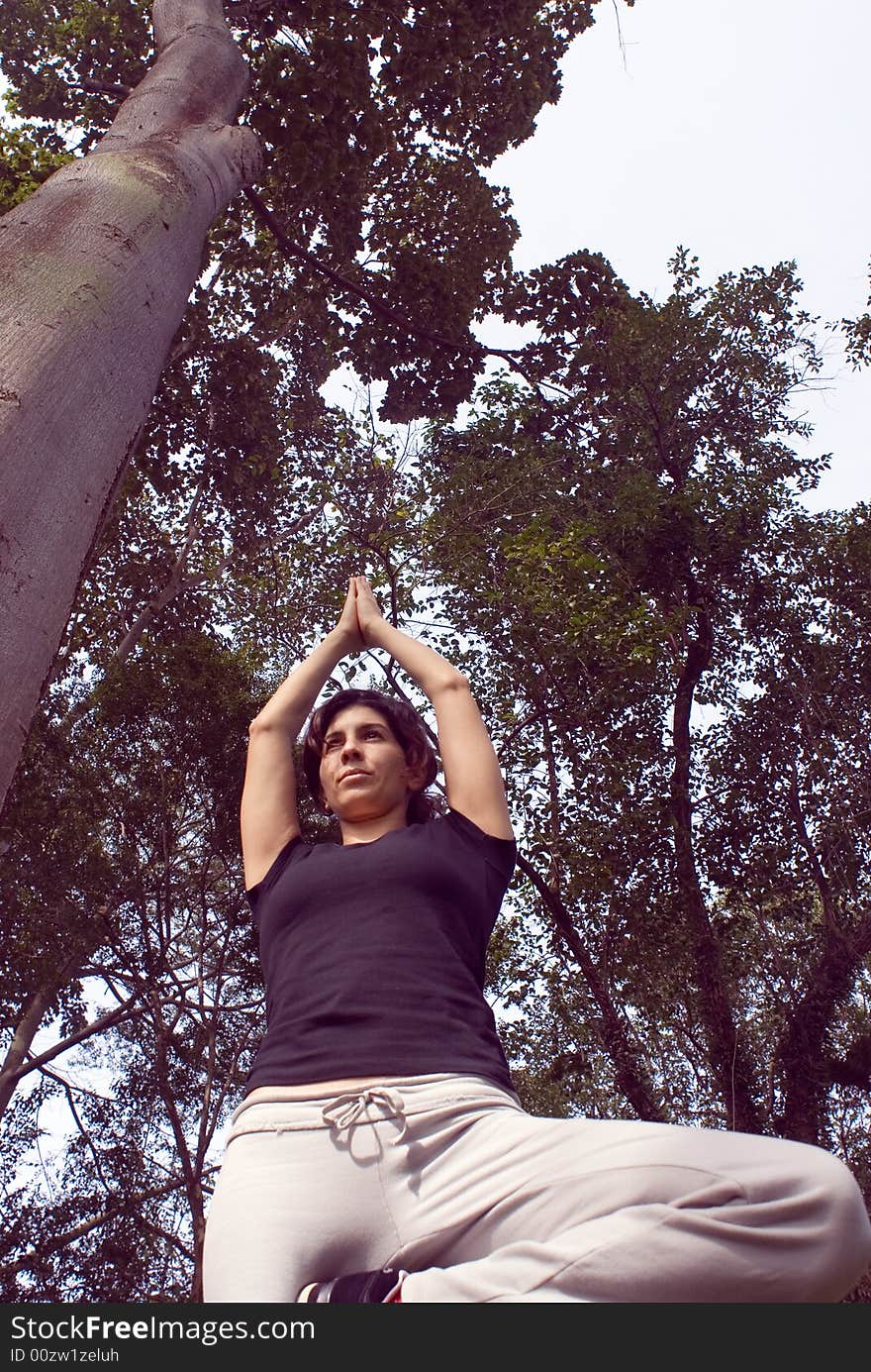 A young, attractive woman is standing next to a tree in a park.  She is performing yoga and stretching.  The camera is looking up at her, and she is looking away from it.  Vertically framed photo. A young, attractive woman is standing next to a tree in a park.  She is performing yoga and stretching.  The camera is looking up at her, and she is looking away from it.  Vertically framed photo.