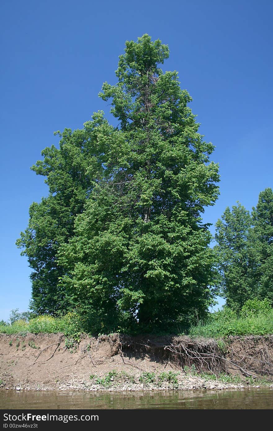 Photo of the nature in a bright sunny day. Photo of the nature in a bright sunny day