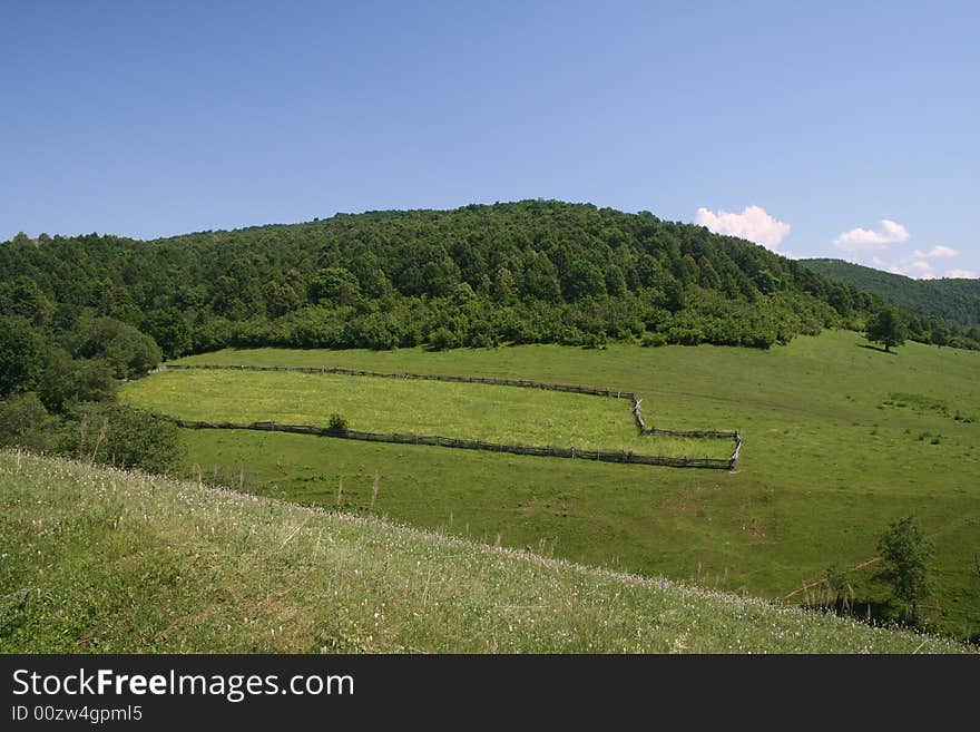 Photo of the nature in a bright sunny day. Photo of the nature in a bright sunny day