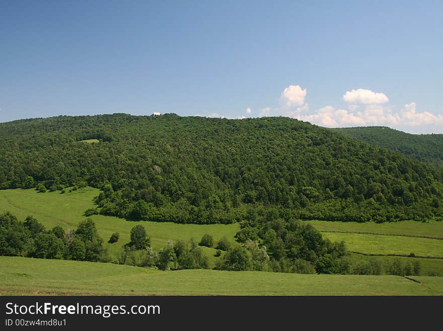 Photo of the nature in a bright sunny day. Photo of the nature in a bright sunny day