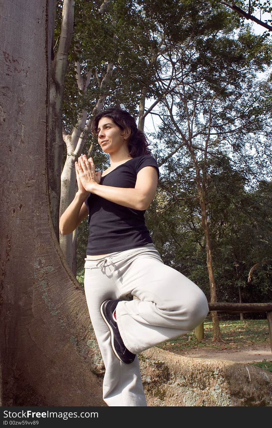 A young, attractive woman is standing next to a tree in a park.  She is performing yoga and stretching.  The camera is looking up at her, and she is looking away from it.  Vertically framed photo. A young, attractive woman is standing next to a tree in a park.  She is performing yoga and stretching.  The camera is looking up at her, and she is looking away from it.  Vertically framed photo.