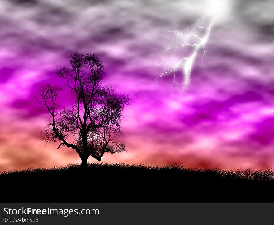 Tree silhouette on the field against a stormy sky. Tree silhouette on the field against a stormy sky