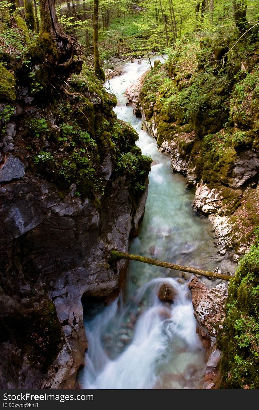 Taken in the magic forest (Zauberwald) near Koenigssee, Bavaria, Germany. Very nice view alone the river though the forest.