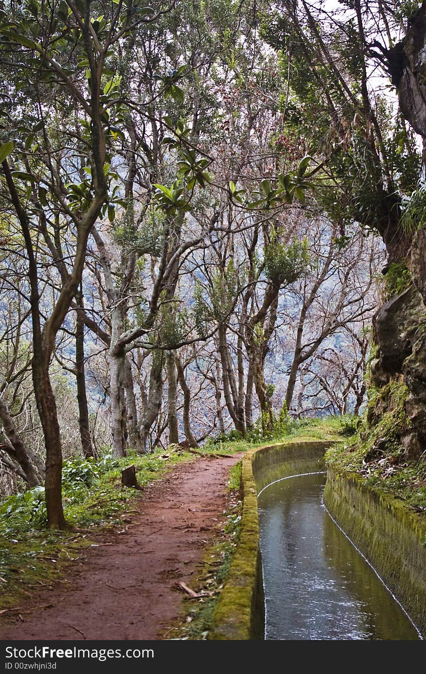 Path (levada) on Madeira island. Path (levada) on Madeira island