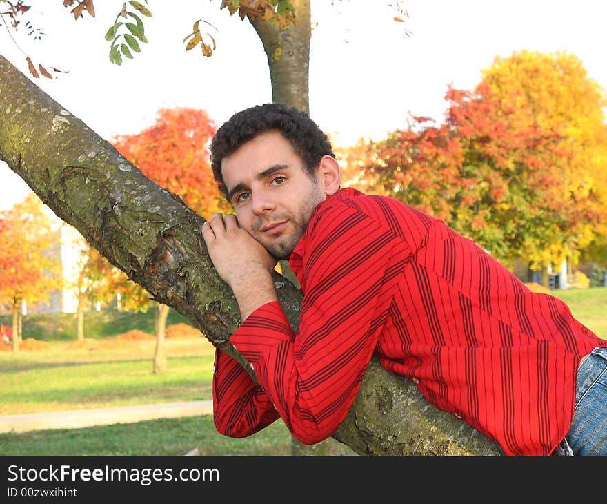 The young man is embracing the rowan-tree. The young man is embracing the rowan-tree