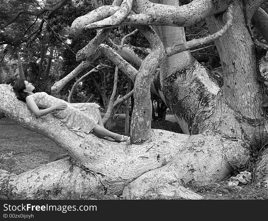 The girl laying down on a branch of an exotic magical tree in Nassau town botanical garden (The Bahamas). The girl laying down on a branch of an exotic magical tree in Nassau town botanical garden (The Bahamas).