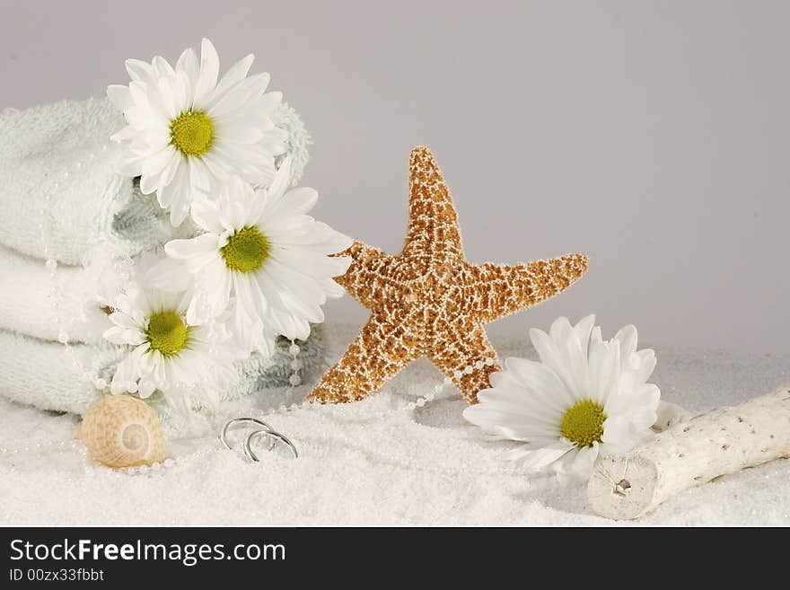 A Starfish stands tall in white sand with white Daisies and towels, with room for copy. A Starfish stands tall in white sand with white Daisies and towels, with room for copy.