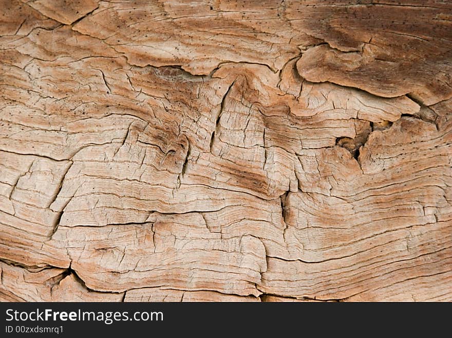 Old wood background