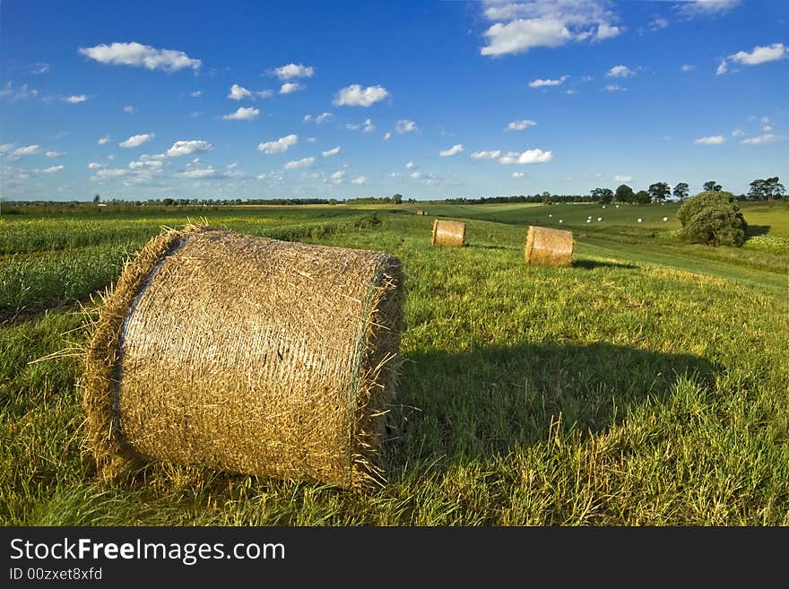 Summer haybales