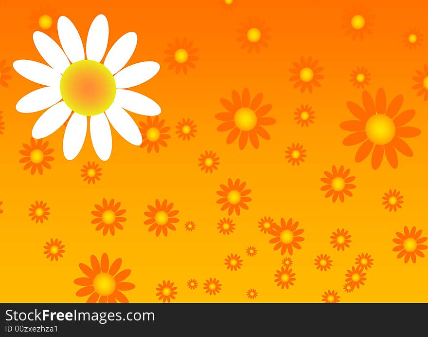 Sun flower background