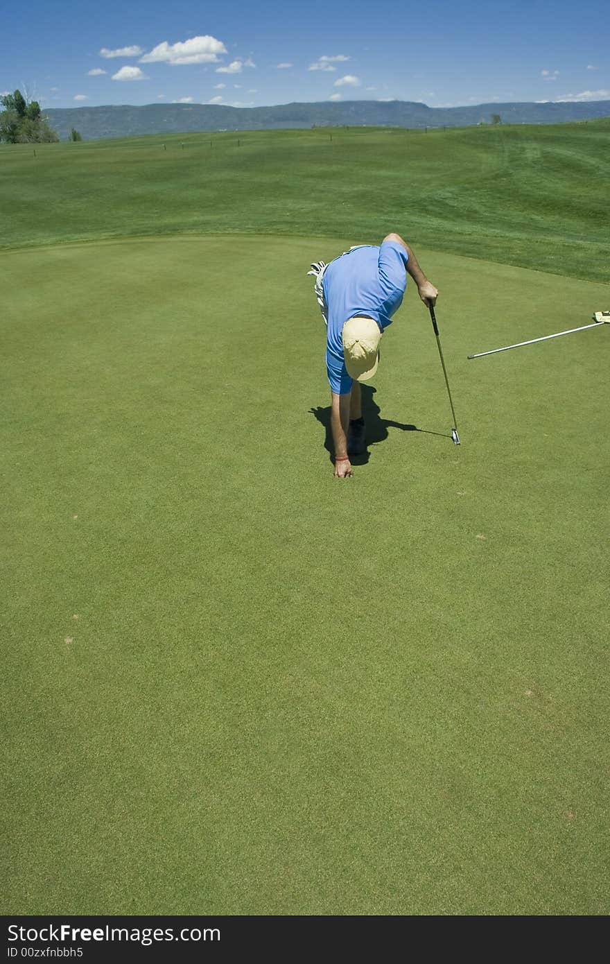 A golfer collects his golf ball after sinking a putt on the green of a golf course. plenty of room for copy space. A golfer collects his golf ball after sinking a putt on the green of a golf course. plenty of room for copy space