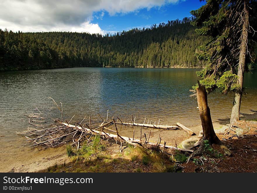 Lake and forest