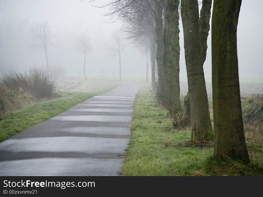 A foggy street in the morning