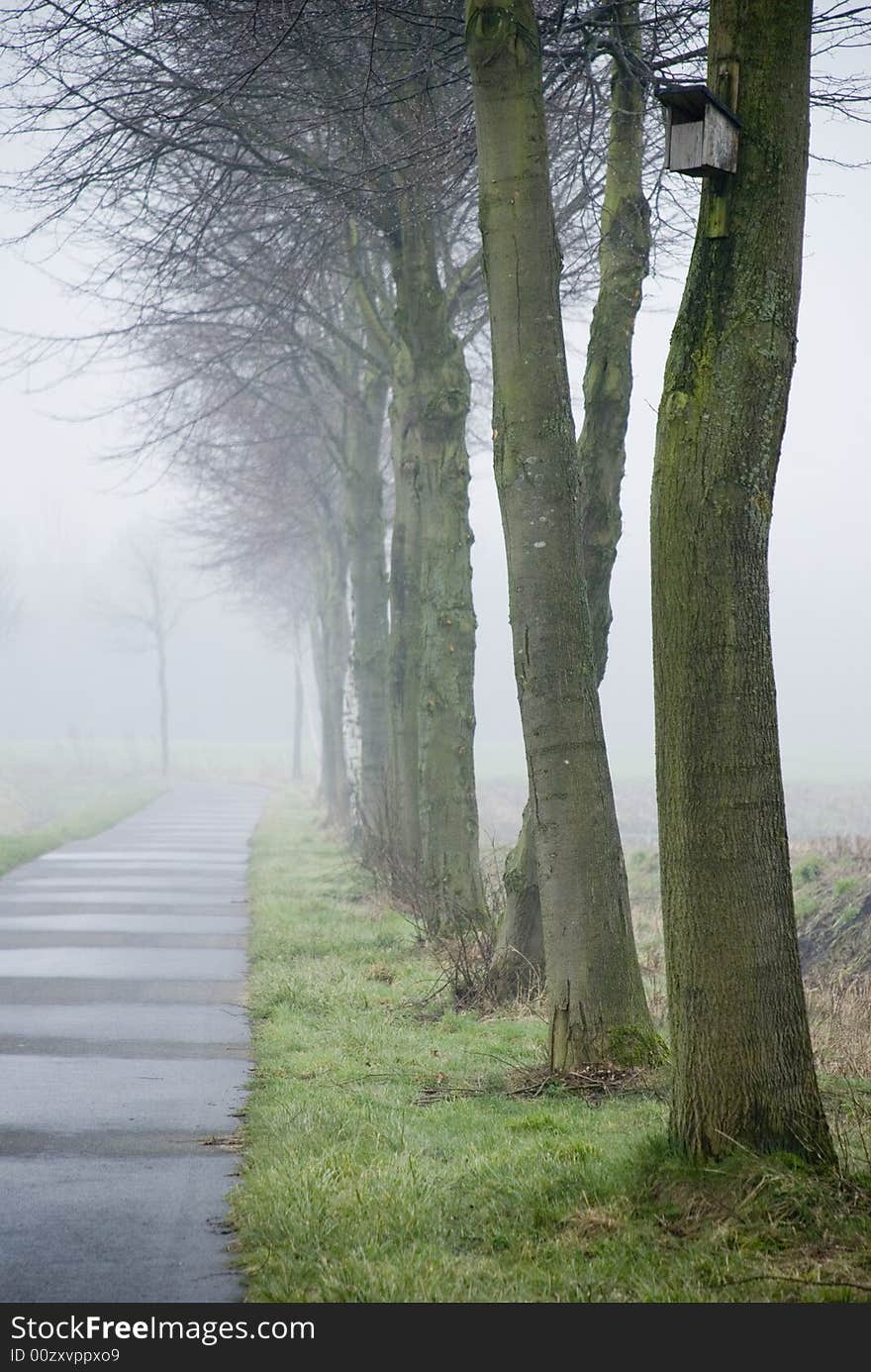 A foggy street in the morning