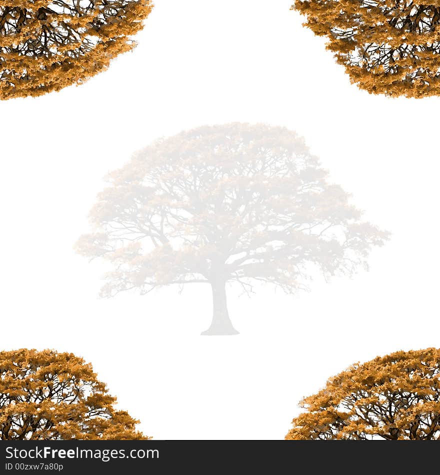 Abstract illustration of a faded  autumn oak tree with branches at the four corners, set against a white background. Abstract illustration of a faded  autumn oak tree with branches at the four corners, set against a white background.