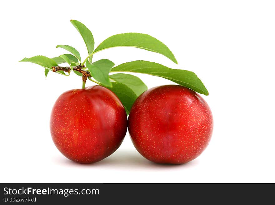 Two isolated red plums with leaves on white background