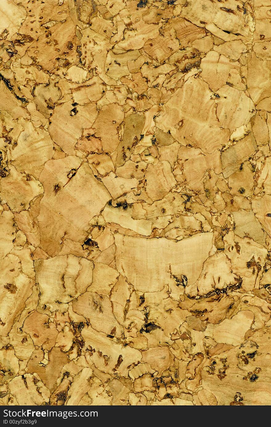 Cork board texture