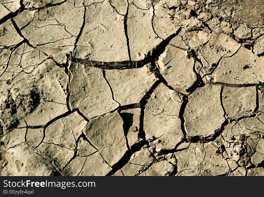 Picture of crack and arid ground. Picture of crack and arid ground