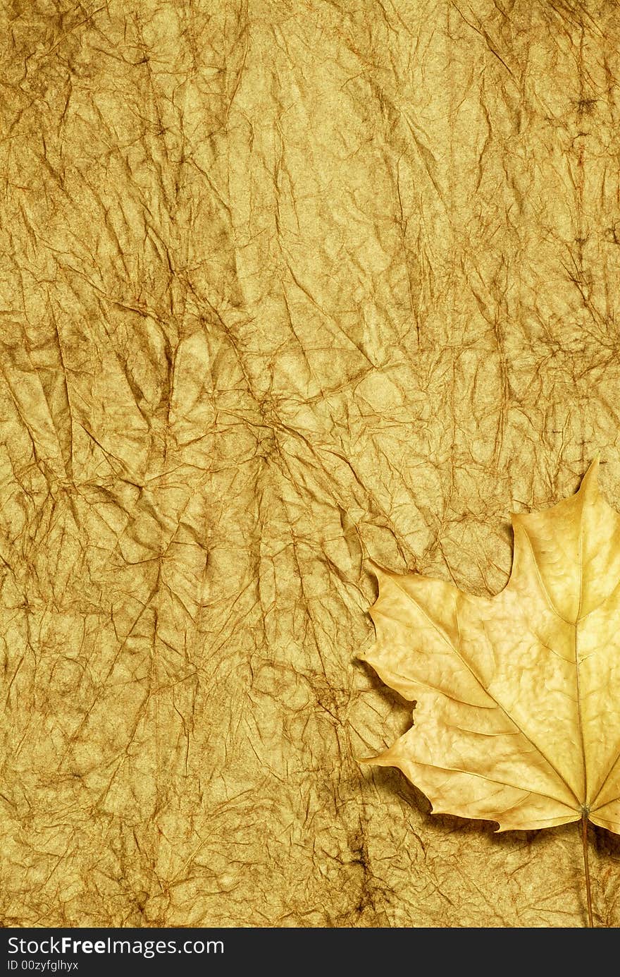 Golden Autumn Background