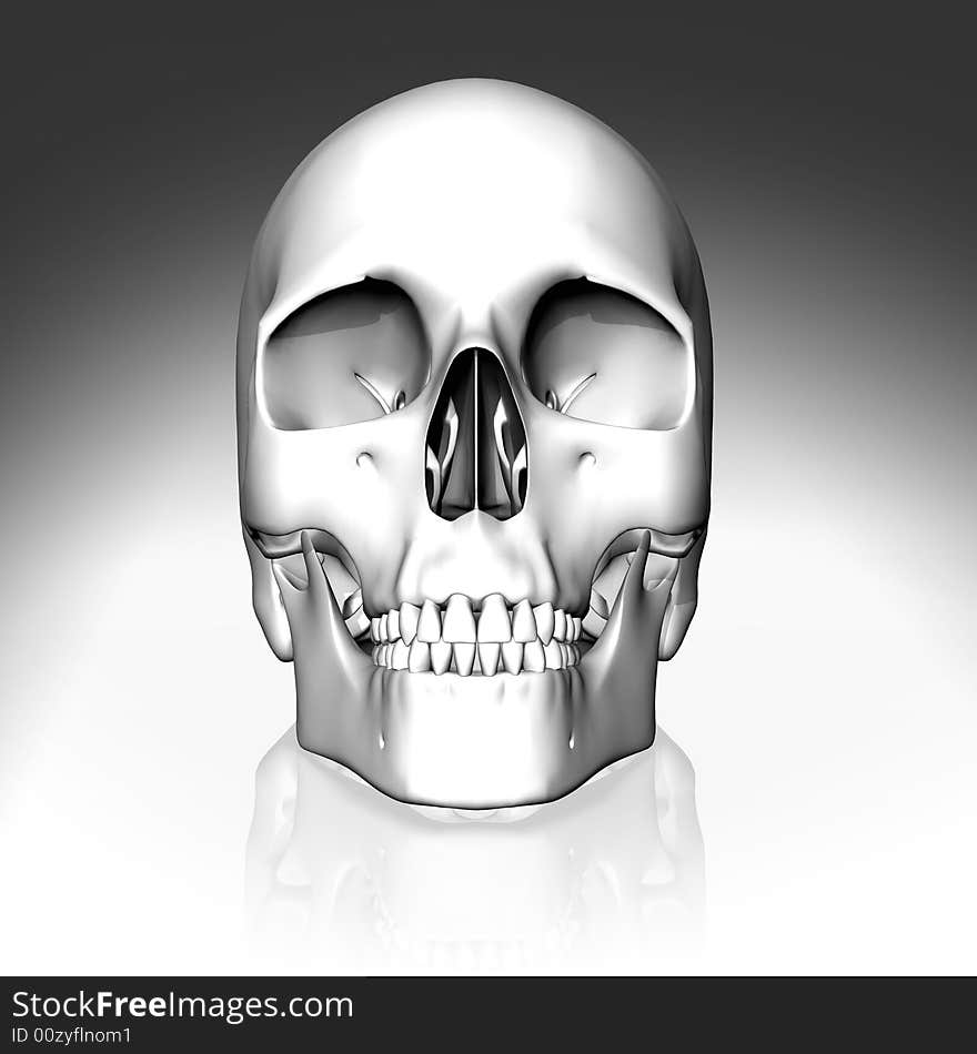 3D White Skull