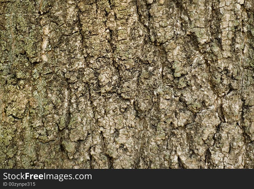 Textured brown tree bark horizontal