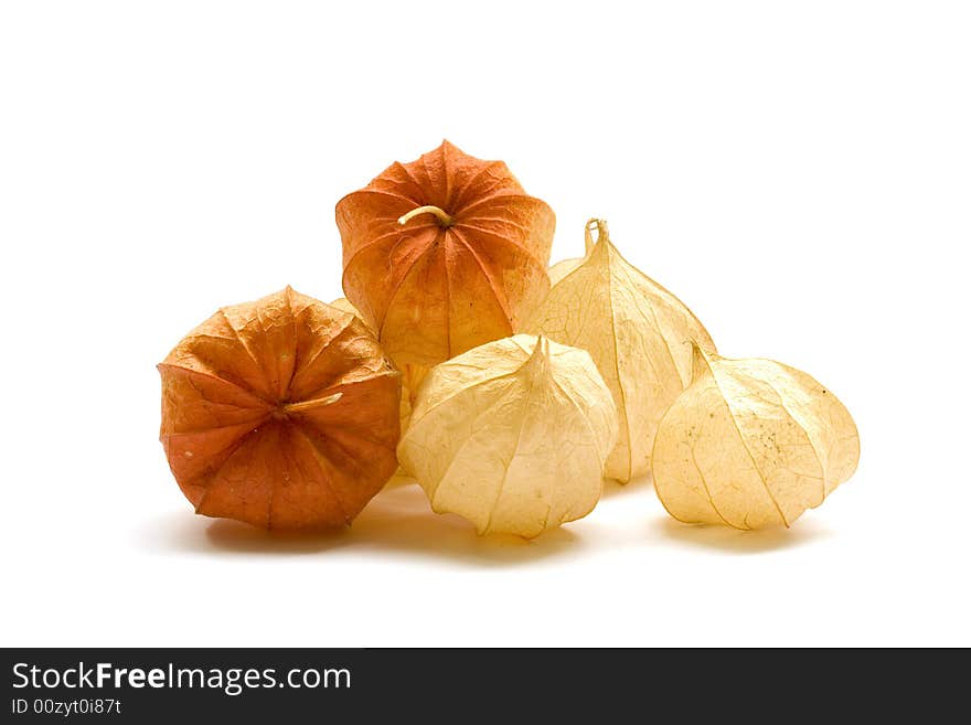 Groundcherry Pods