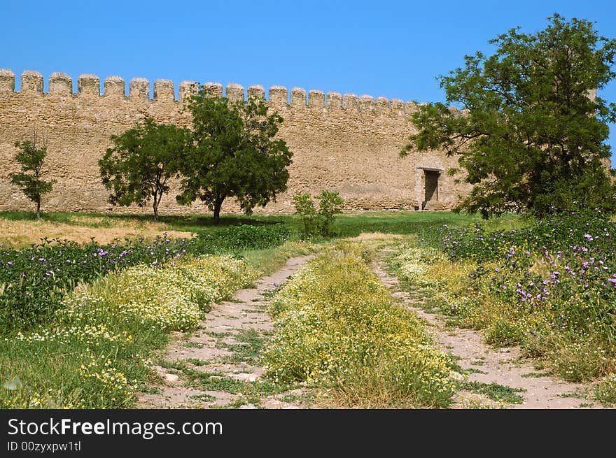 Medieval castle near Odessa, Ukraine, Belgorod Dnestrovsky. Flower meadow in front of wall.