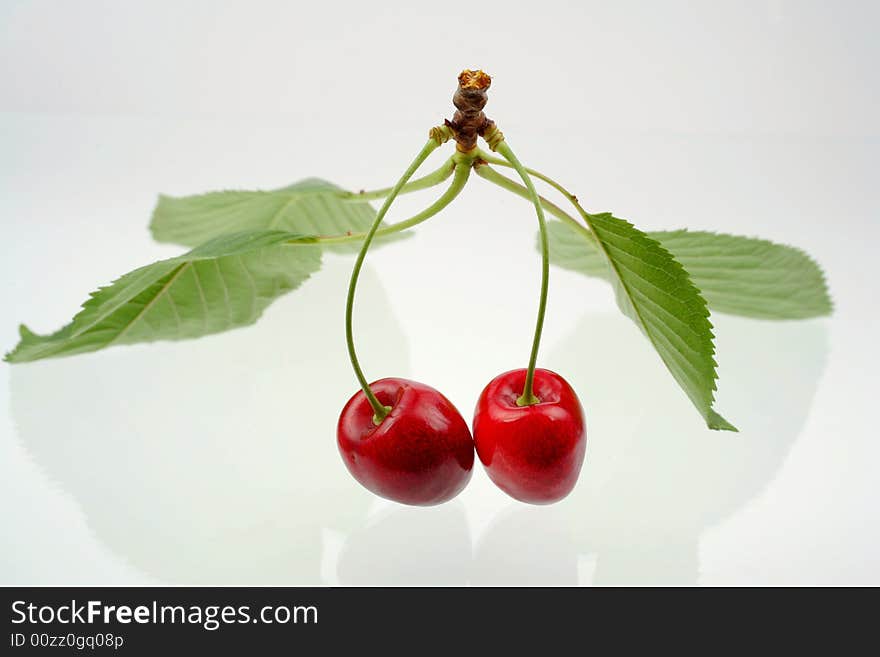 Green sprig with cherries