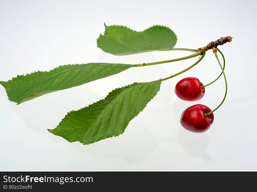 Green sprig with cherries