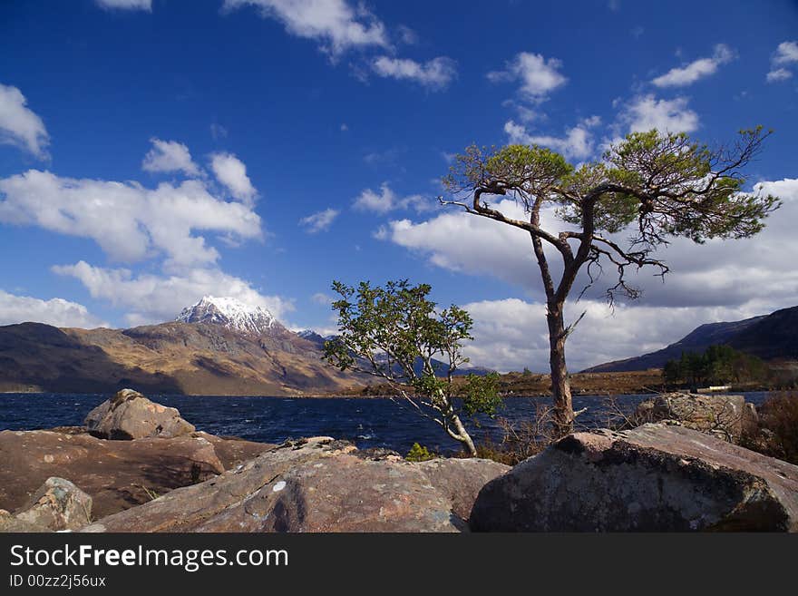 Tree and slioch