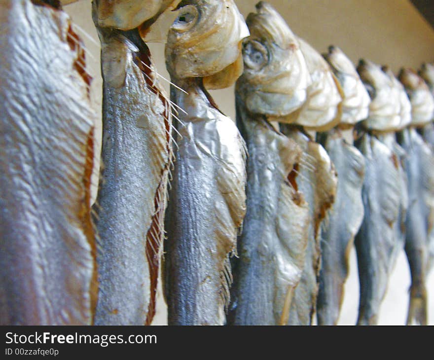 The fish which to be dried on a cord