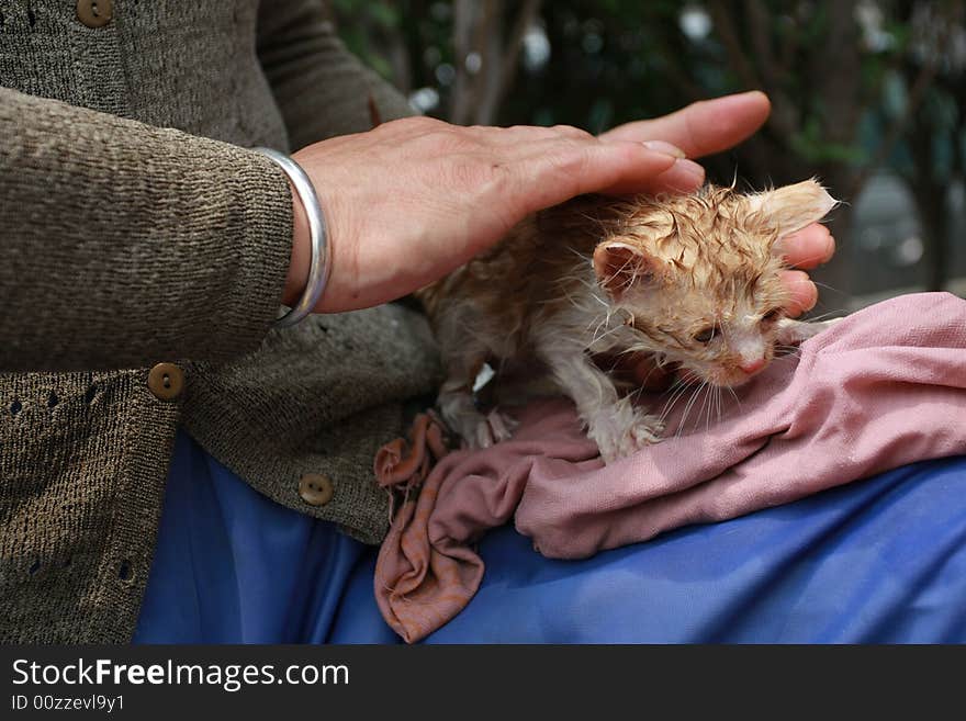 A cat was washing by his master. A cat was washing by his master