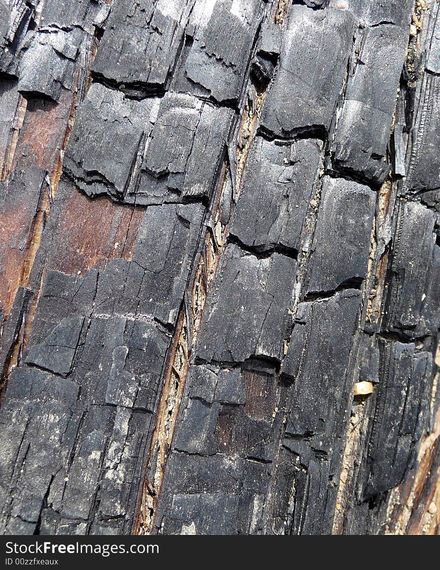 A close up photograph of some brunt tree bark. A close up photograph of some brunt tree bark.