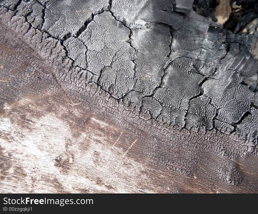 A close up photograph of some brunt tree bark. A close up photograph of some brunt tree bark.