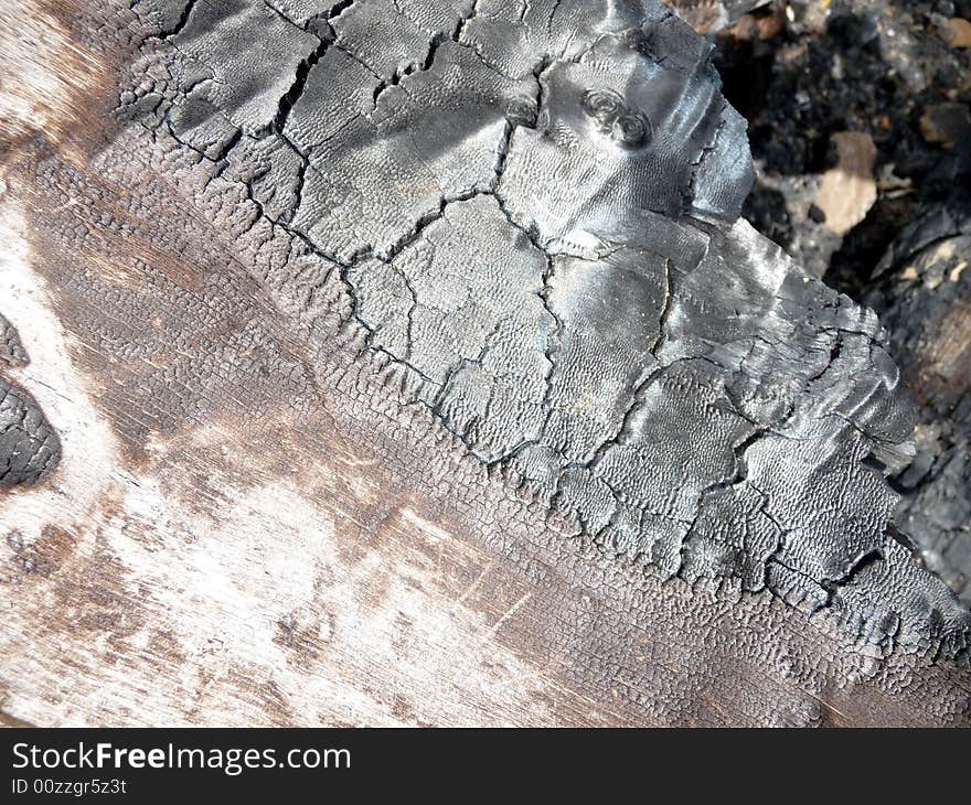 A close up photograph of some brunt tree bark. A close up photograph of some brunt tree bark.