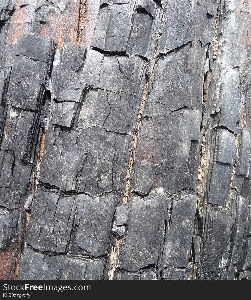 A close up photograph of some brunt tree bark. A close up photograph of some brunt tree bark.