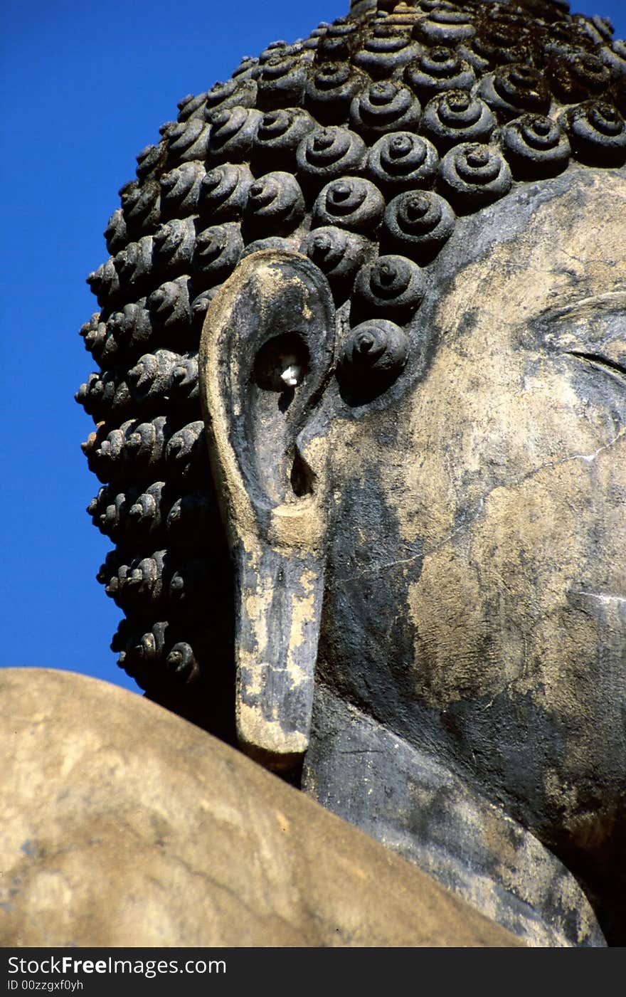 Head of Buddha statue