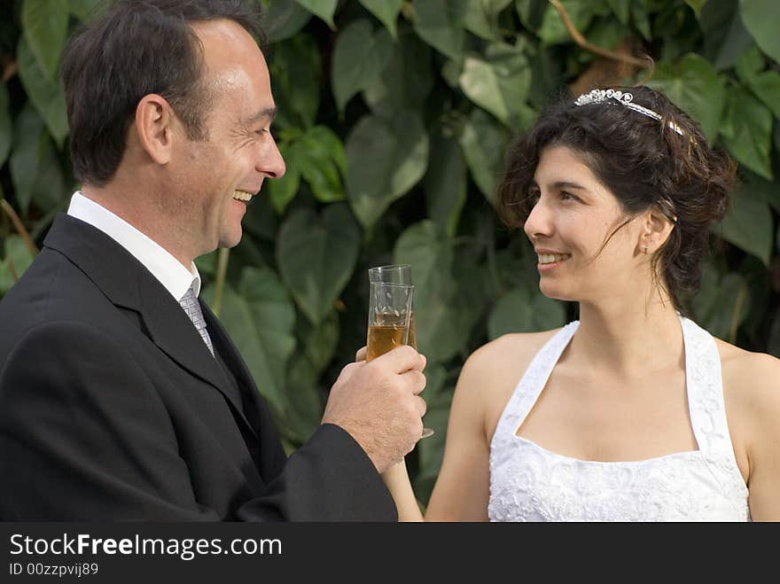 Bride and groom smile at each other as the toast with champagne. Horizontally framed photograph. Bride and groom smile at each other as the toast with champagne. Horizontally framed photograph.