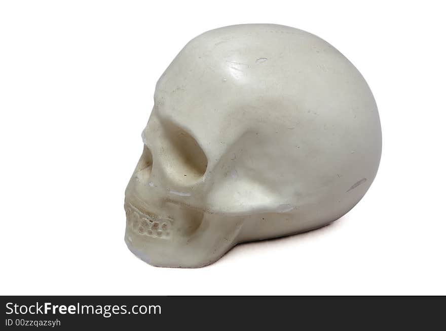 Skull sideview