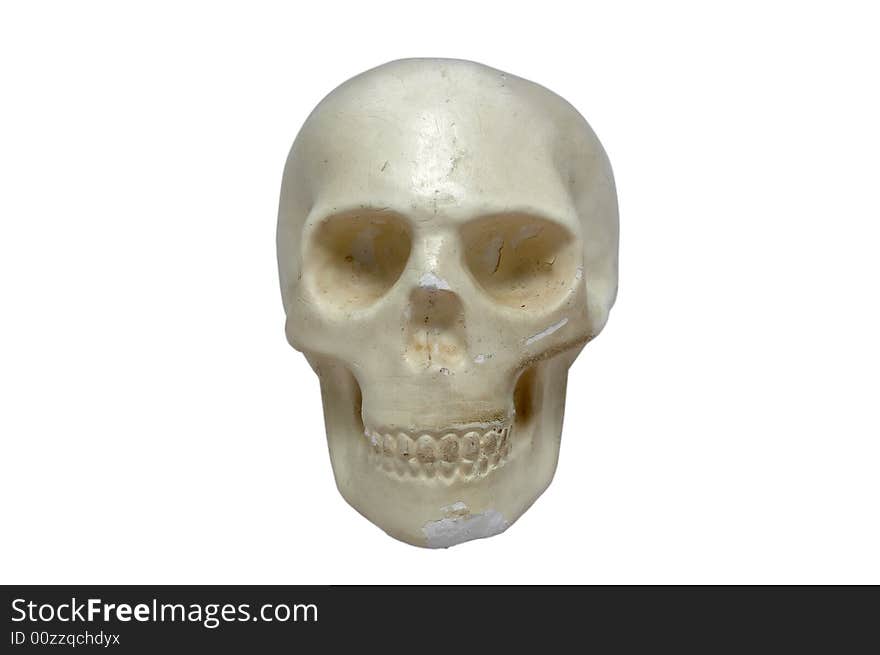 Plaster skull isolated over white