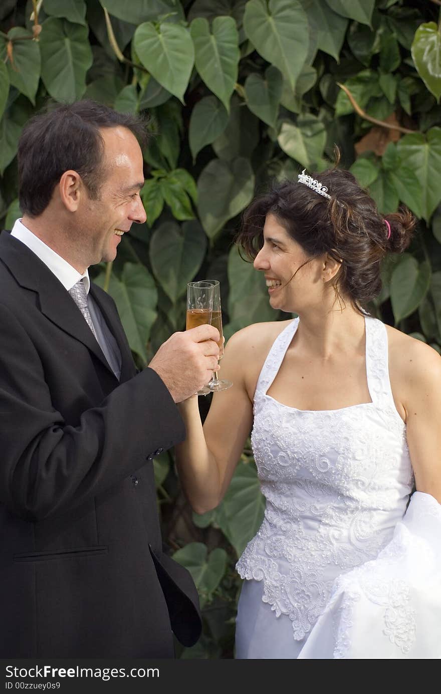 Bride and groom smile at each other as the toast with champagne. Vertically framed photograph. Bride and groom smile at each other as the toast with champagne. Vertically framed photograph.