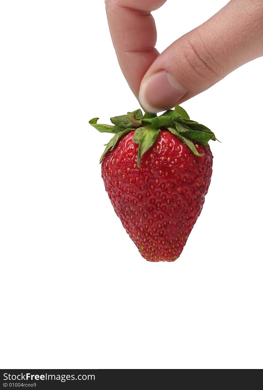 An appetizing strawberry in the woman's teasing hand at the white background. An appetizing strawberry in the woman's teasing hand at the white background