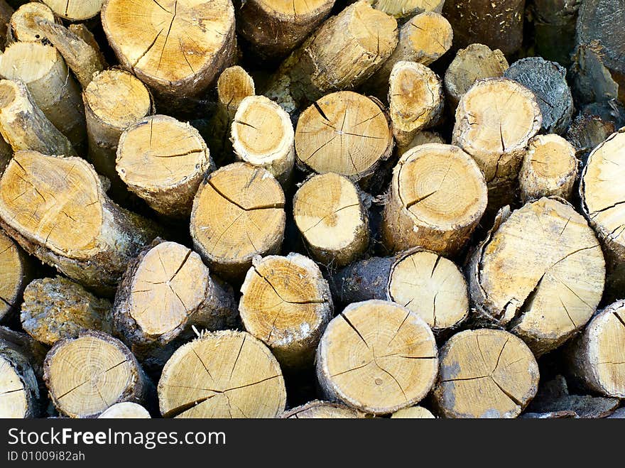 Cut and chopped fire wood are stacked in a heap