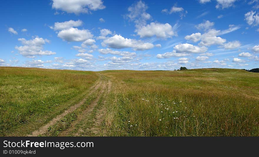 Road In Field